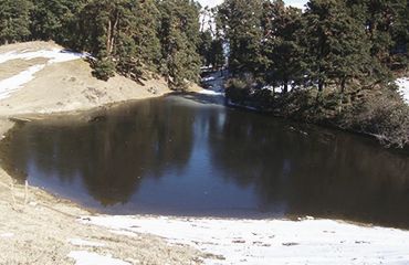 Dayara Bugyal Trek