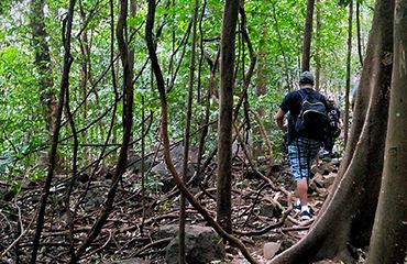 Walking through greens