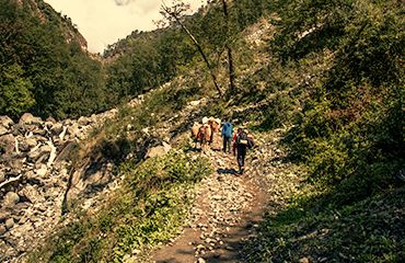 Dodital Trek