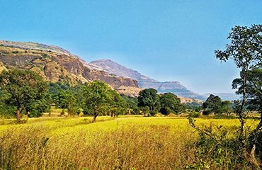 Khireshwar village