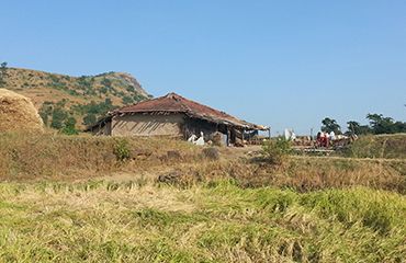 kalsubai Trek