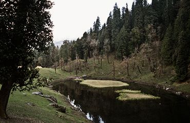 Kedarkantha Trek