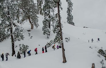 Kedarkantha Trek