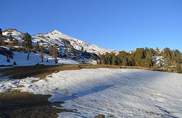 Kedarkantha Trek