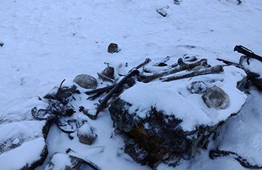 Roopkund Trek